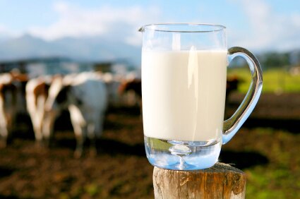 Казахстан запретил молоко из Новой Зеландии