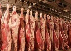 Экспорт мяса сократился, сокращается и будет …