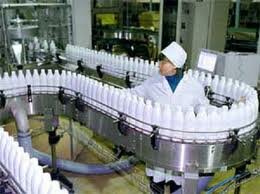 В Кызылординской области производство молока за год выросло на 800 тонн