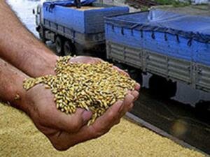 Минсельхоз РК предлагает удешевить транспортировку зерна