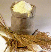 Экспорт казахстанского зерна и муки будет увеличен