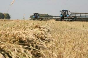 Украина заинтересована в строительстве совместного с Казахстаном зернового терминала
