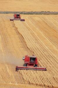 А. Лукашенко: Экспорт сельхозпродукции должен быть увеличен в 2,5 раза