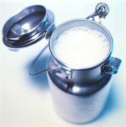 Казахстану нужны молочные кооперативы