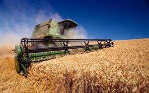 Дефицита зерна в Казахстане не будет