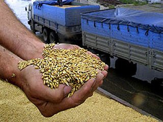 Казахстан сохранит географию экспорта зерна