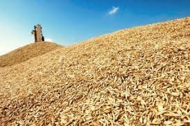 ФСБ попросили защитить зерно госрезерва