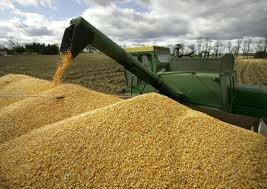 Экспорт казахстанского зерна поддержит ЕАБР
