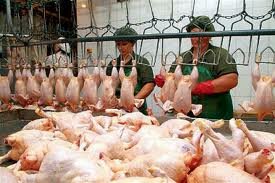 Правительство не допустит роста цен на мясо птицы
