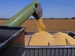 Сроки поставки зерна в регионы срываются - МЭРТ