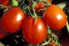 Импортной томатной продукции в Казахстане стало больше