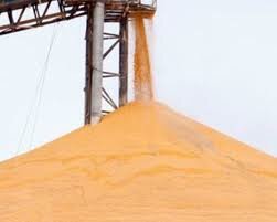 Украина продлила квотирование экспорта зерна