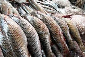 Правительство утвердило лимиты вылова рыбы на 2011 год