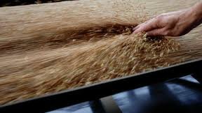 Ситуация в Египте может привести к росту цен на зерно
