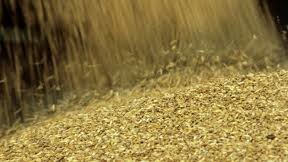 Комиссия ТС обнулила пошлину на импорт зерна до 30 июня