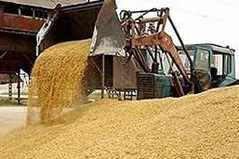 Казахстан экспортировал около 5 млн. тонн зерна урожая 2010 года