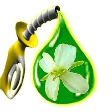 В Казахстане в 2011 году планируется произвести биотопливо в пределах 2870 млн. литров