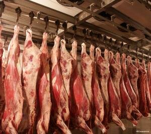За год Казахстан увеличил производство мяса на 3,1%
