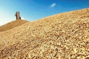 Казахстан хочет создать аналог российской «Объединенной зерновой компании»