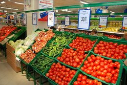 Россия запретила ввоз овощей из Германии и Испании