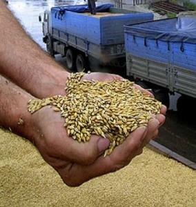 Украина в мае может отменить квоты на экспорт зерна