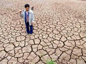 В Китае ущерб от засухи оценивается в $2,3 млрд.