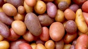 В России запретили ввоз картофеля из Египта