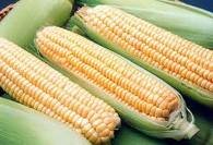 Кукуруза достигла рекордной цены из-за непогоды в США