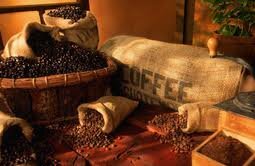 В Кении цена на кофе снизилась
