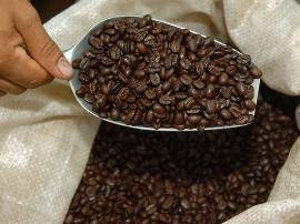 Латинская Америка наращивает экспорт кофе