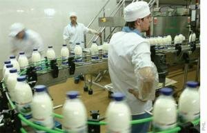 В Казахстане снизился объем производства молока