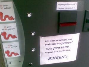 В России установлен автомат по продаже червей