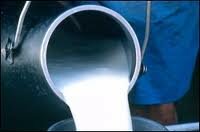 Восточный Казахстан: молоко стало дешевле на 3,2%
